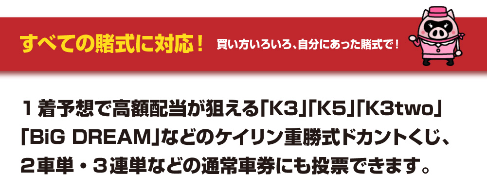 すべての賭式に対応！