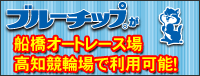 ブルーチップ