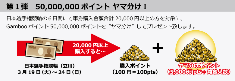 第1弾 6日間で2万円以上購入すると5,000万ポイントヤマ分け!
