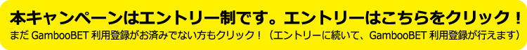 エントリーとGambooBET登録はこちら