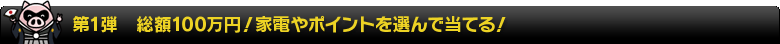 第1弾　総額100万円！家電やポイントを選んで当てる！