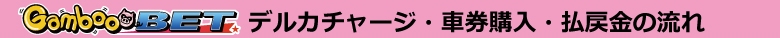 デルカチャージ・車券購入・払戻金の流れ