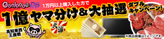 大漁！豊漁！1億ヤマ分け＆大抽選ダブルキャンペーン