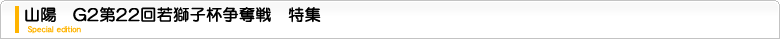 日刊スポーツＧⅡ第２２回若獅子杯争奪戦　特集ページ
