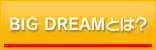 BIG DREAMとは？