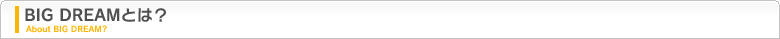 BIG DREAMとは？