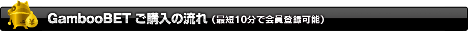GambooBETご購入の流れ