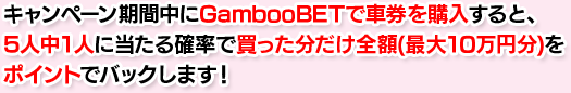 キャンペーン期間中にGambooBETで車券を購入すると、50人中1人に当たる確率で買った分だけ全額(最大10万円分)をポイントでバックします！