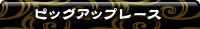 ピックアップレース