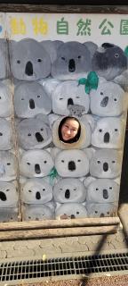 投稿画像1