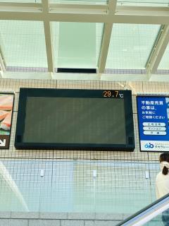 投稿画像1
