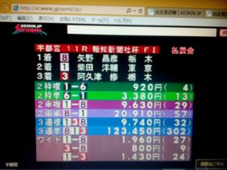 投稿画像1