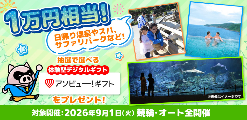 選べる体験型デジタルギフト「アソビュー！ギフト」をプレゼント！(9月)
